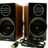 Woofer Speaker for PC & Laptop