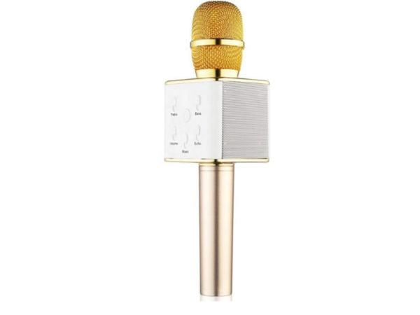 Karaoke Microphone with Speaker – Portable & Wireless