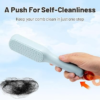 FRAKIN Self-Cleaning Hair Brush – Anti-Static & Massage