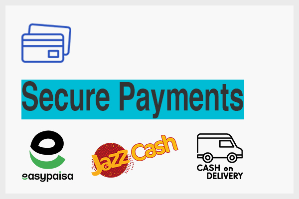 secure payment